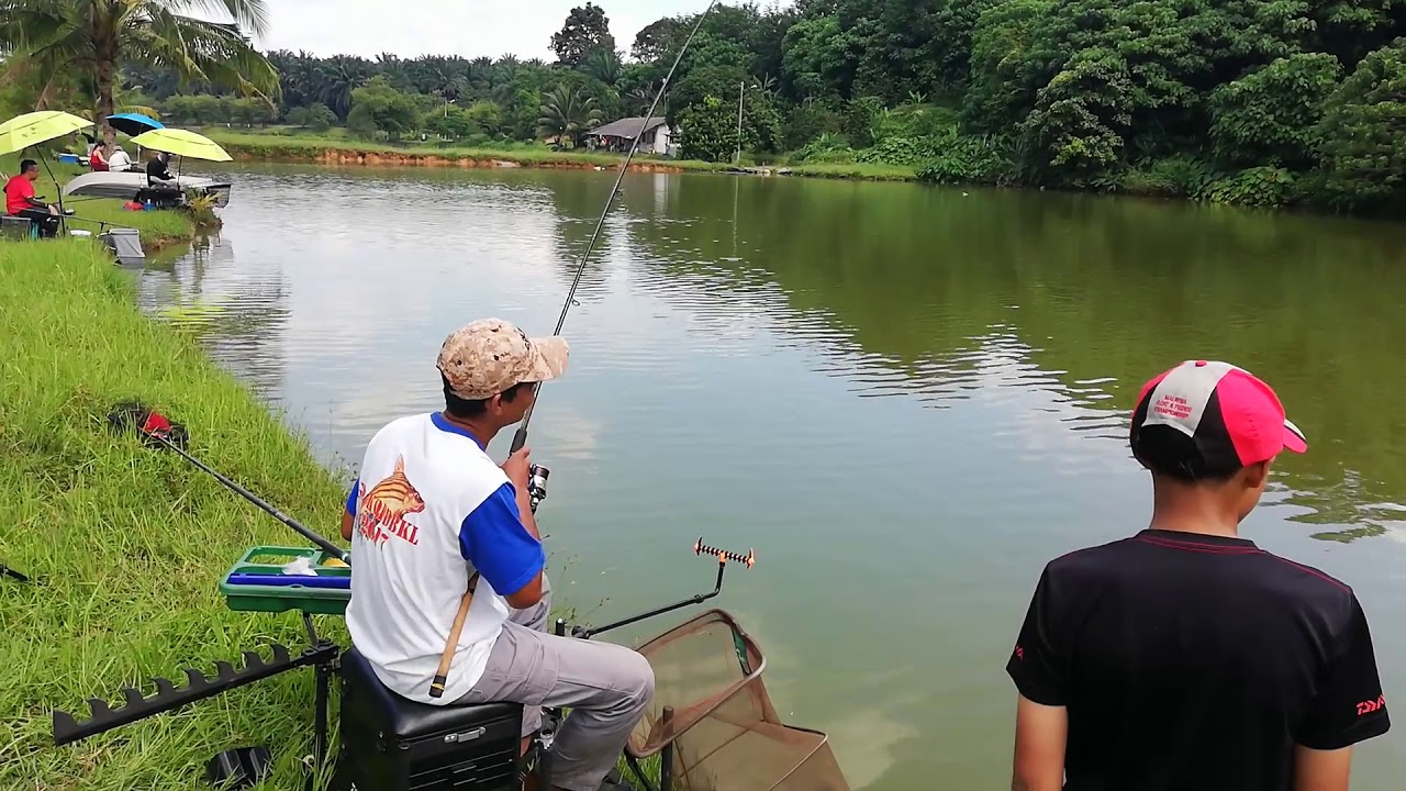 feeder fishing