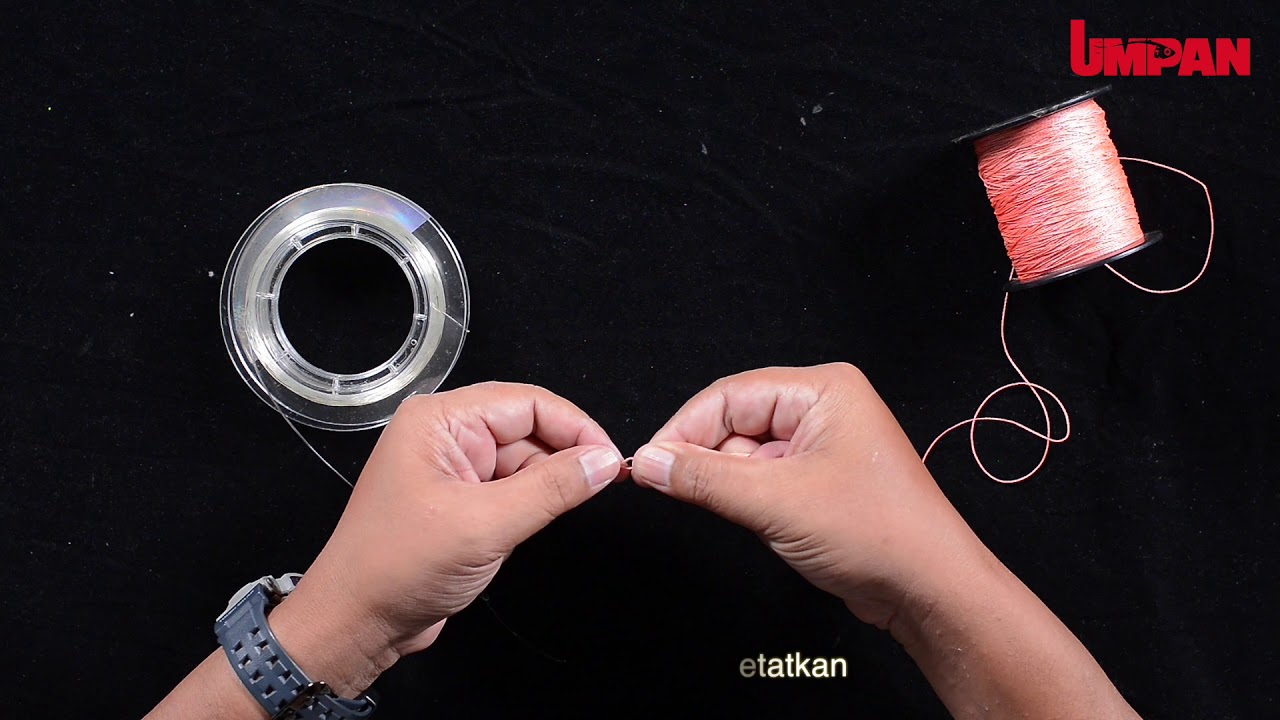 Ikatan Albright Knot | Umpan T&T