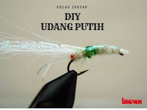 umpanTv :  Diy udang putih