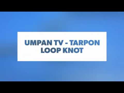 Umpan TV   Tarpon Loop Knot